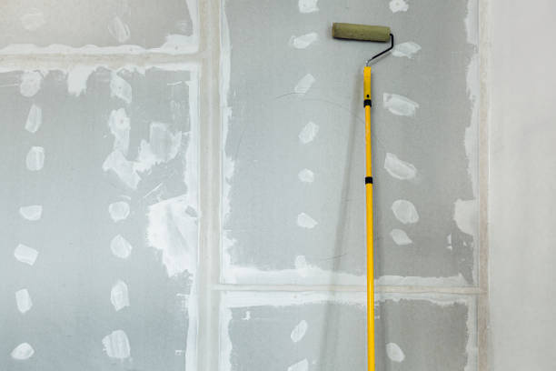 Best Asbestos and Lead Testing During Mold Inspection  in Ledbetter, KY