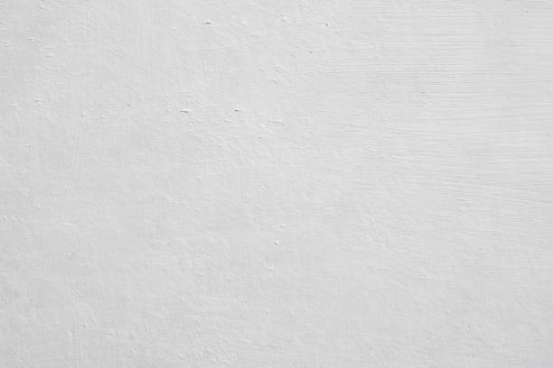 Best Mold Odor Removal Services  in Ledbetter, KY