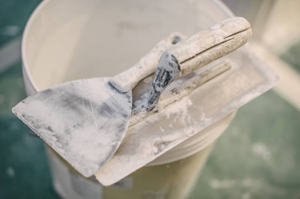 Best Mold-Related Health Consultation  in Ledbetter, KY