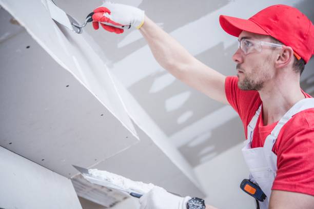 Best Black Mold Removal  in Ledbetter, KY