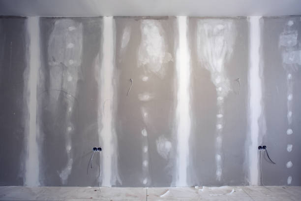 Best Basement Mold Removal  in Ledbetter, KY