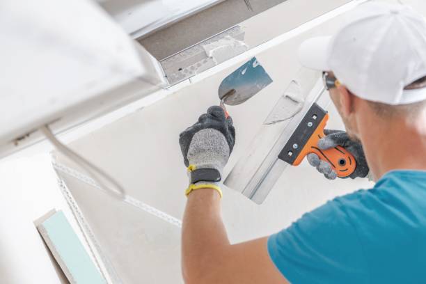 Best Mold Prevention Services  in Ledbetter, KY